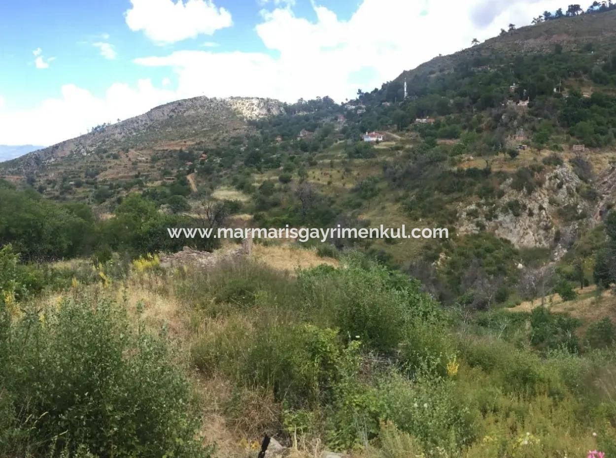 Muğla İli Akbük İlçesi Zeytinköy Mahallesinde 3500 M2 Arsa İçerisinde 2 Adet Evi Mevcut İmarlı Satılık Arsa