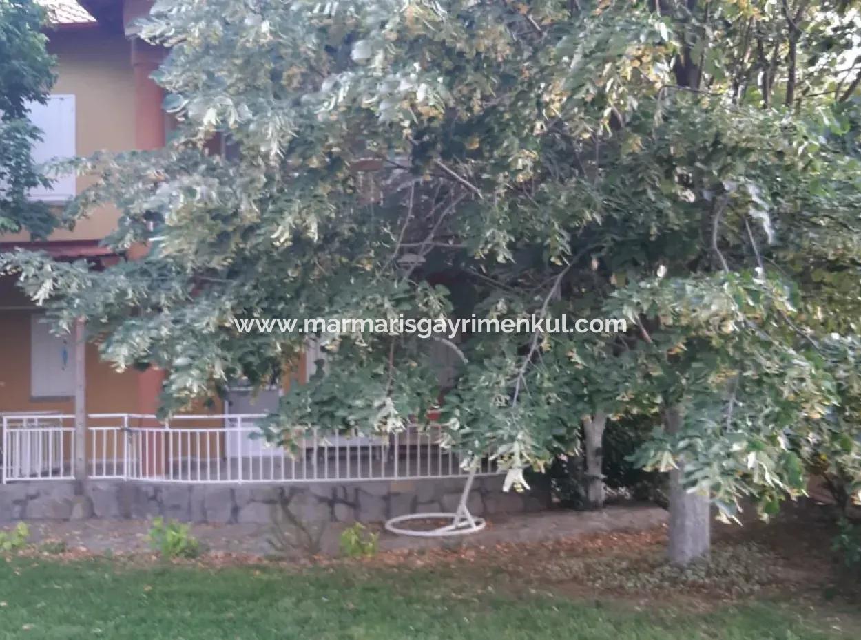 Manisa İli Alaşehir İlçesi 19000M2 Üzümbağı Çiftliği Acil Satılık