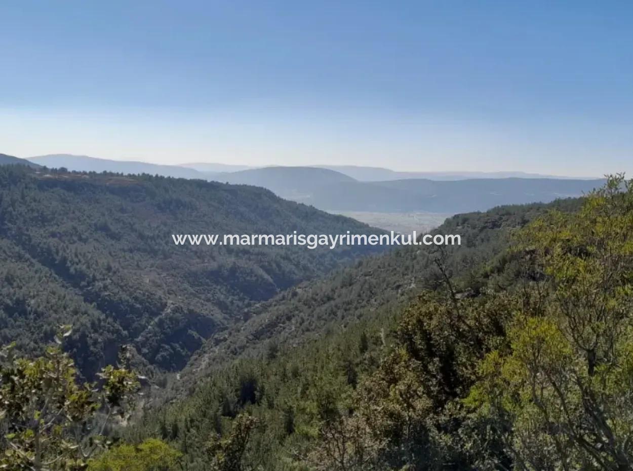 Muğla Merkezinde 200000M2 Badem Bahçesi Satılıktır.