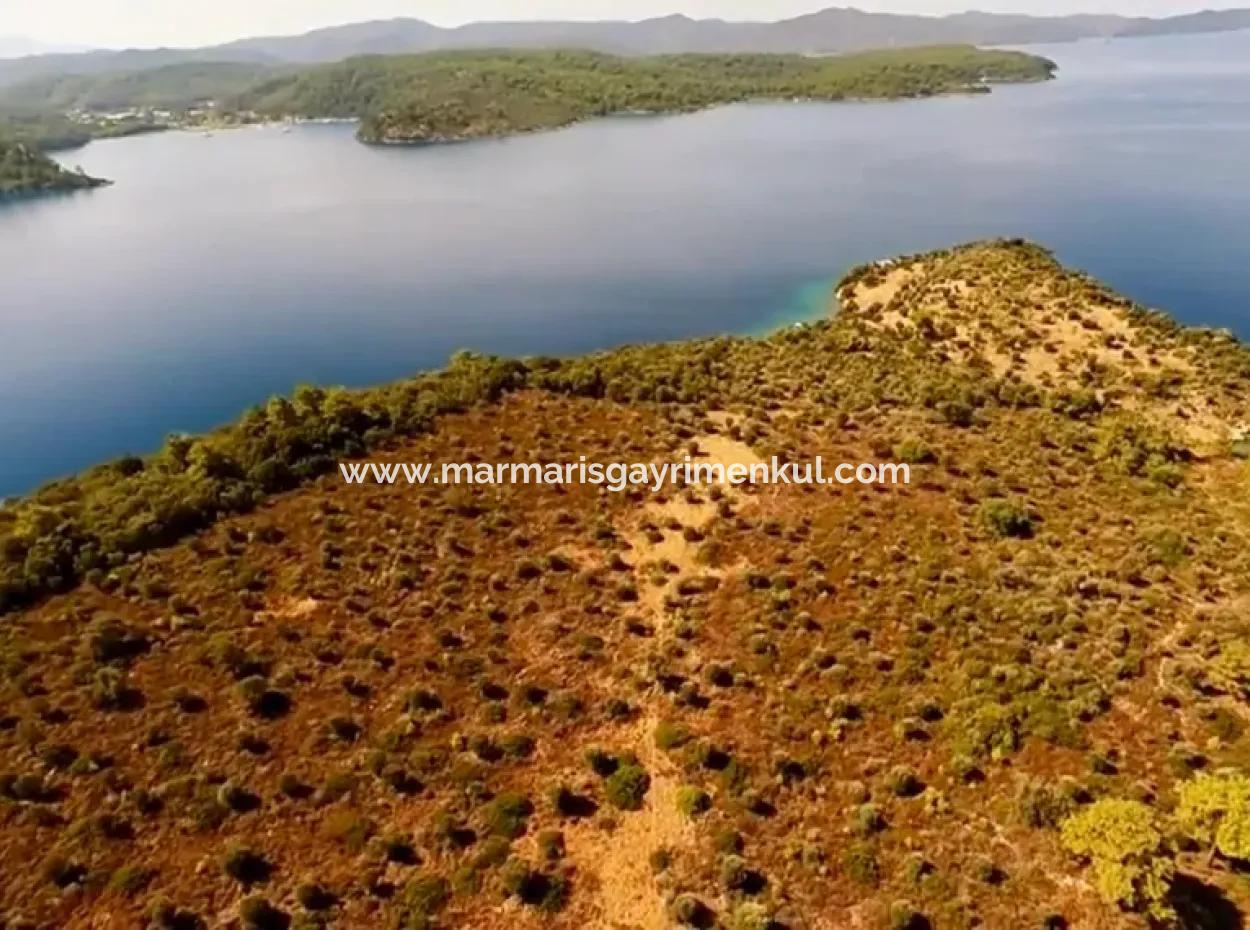 Marmaris İlçesi Gökova Körfezinde  Satılık Ada  365000M2 Arsa Alanına Sahip Olup İçerisinde Kayıtlı Ev Bulunmaktadır.