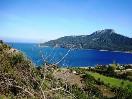 Marmaris Kumlubük Koyun İçerisinde Denize Yakın 10300 M2 Satılık Arsa