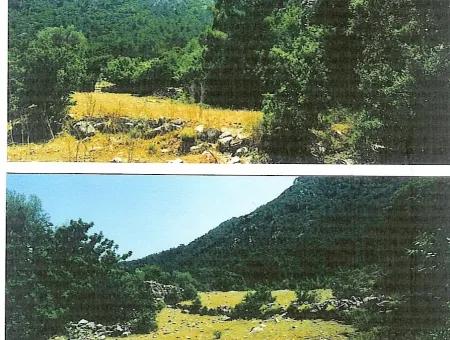 Kumlubük Koyunda Deniz Manzaralı 11000 M2 Satılık Arsa