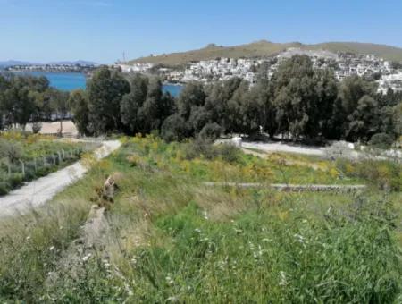 Bodrum Akyarlar Mevkisinde Denize Sıfır 4000M2 Turizm İmarlı Satılık Arsa