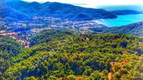 Marmaris Çetibelinde Orman İçerisinde 13.500 M2 Özel Kullanım Alanı